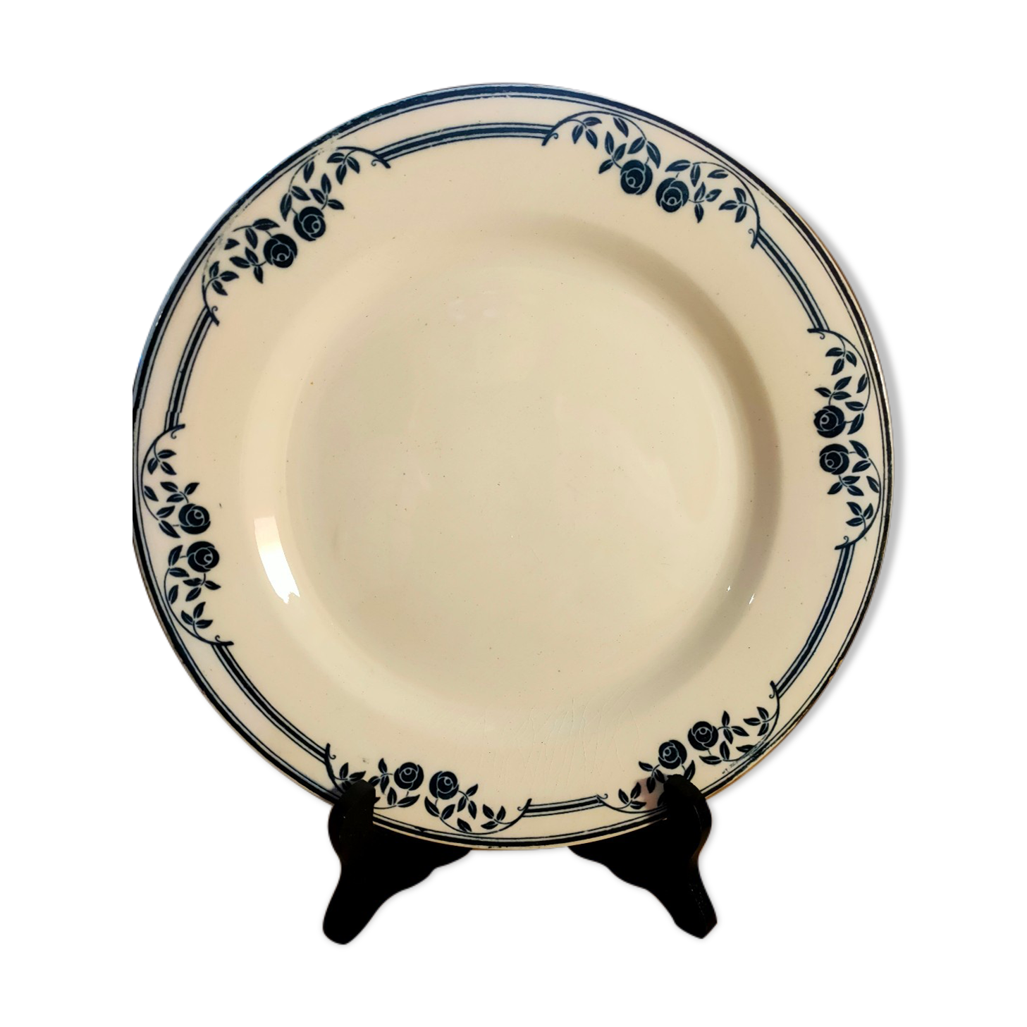 Plate iron earth Salins