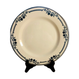 Plate iron earth Salins