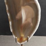 Mineralogy agate slice on base