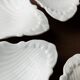 6 vintage ceramic bowls in the shape of a shell - Del Vivo Firenze Italy 1970s