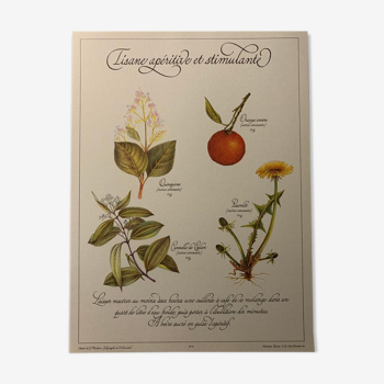 Precious botanical tea board