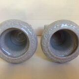 Pair of Medici vases