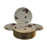 Service of 12 porcelain plates in romantic style.