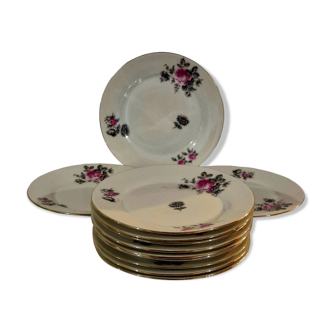 Service of 12 porcelain plates in romantic style.