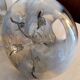 Paire de globes