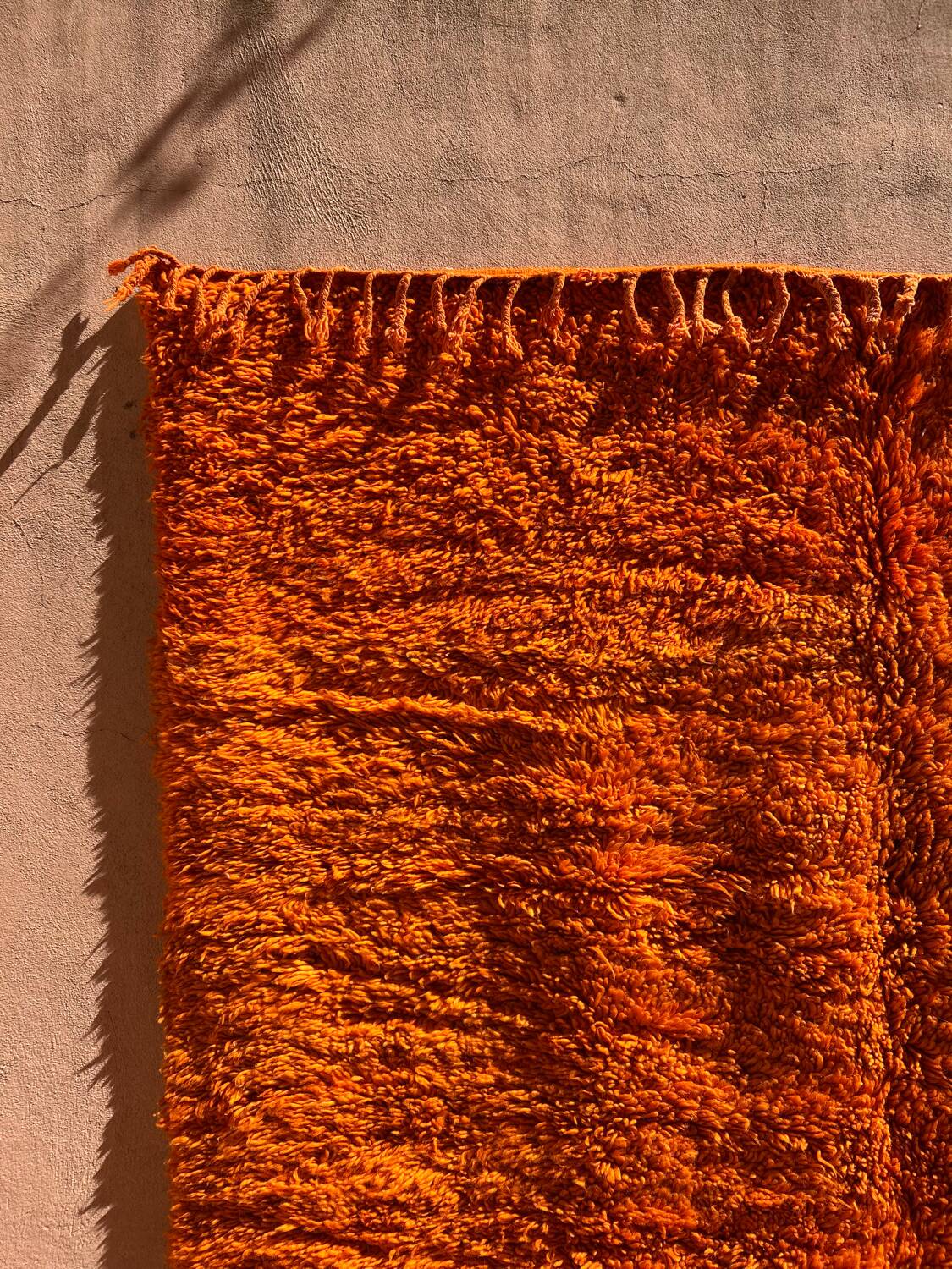 Orange Grove Rug 200x300cm