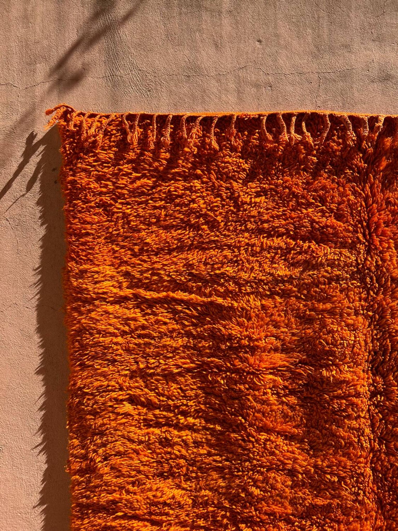 Orange Grove Rug 200x300cm