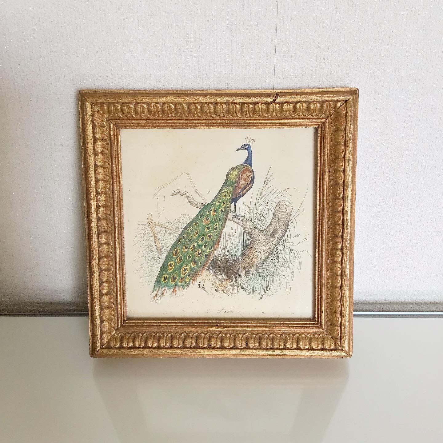 Vintage peacock lithography frame