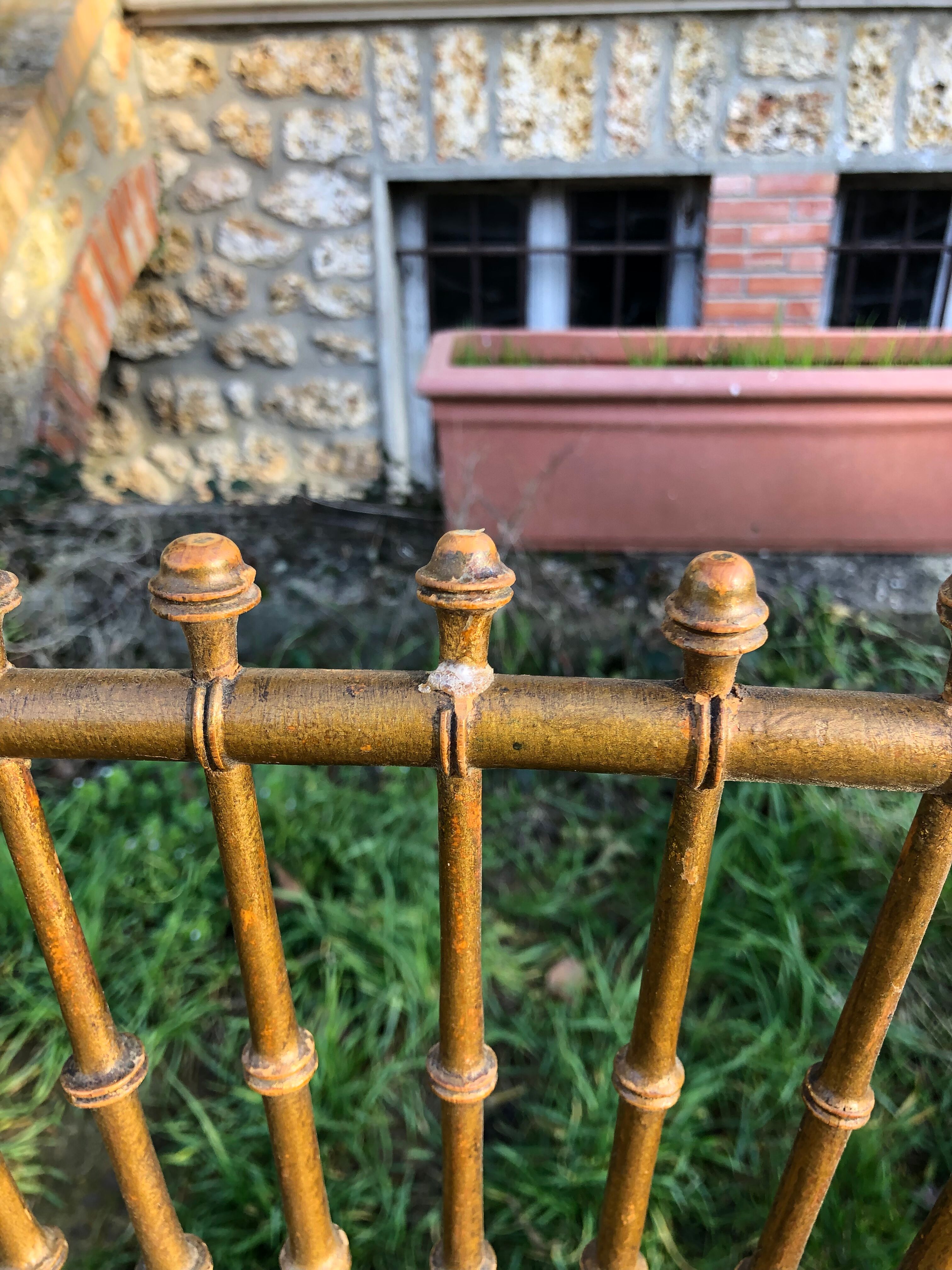 Pair of caned chairs in gilded wood