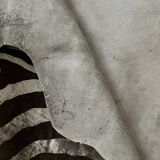 Genuine zebra print skin rug