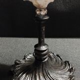 Cabinet of Curiosities, chicoreus ramosus shell on base
