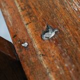 Antique Monastery Bench