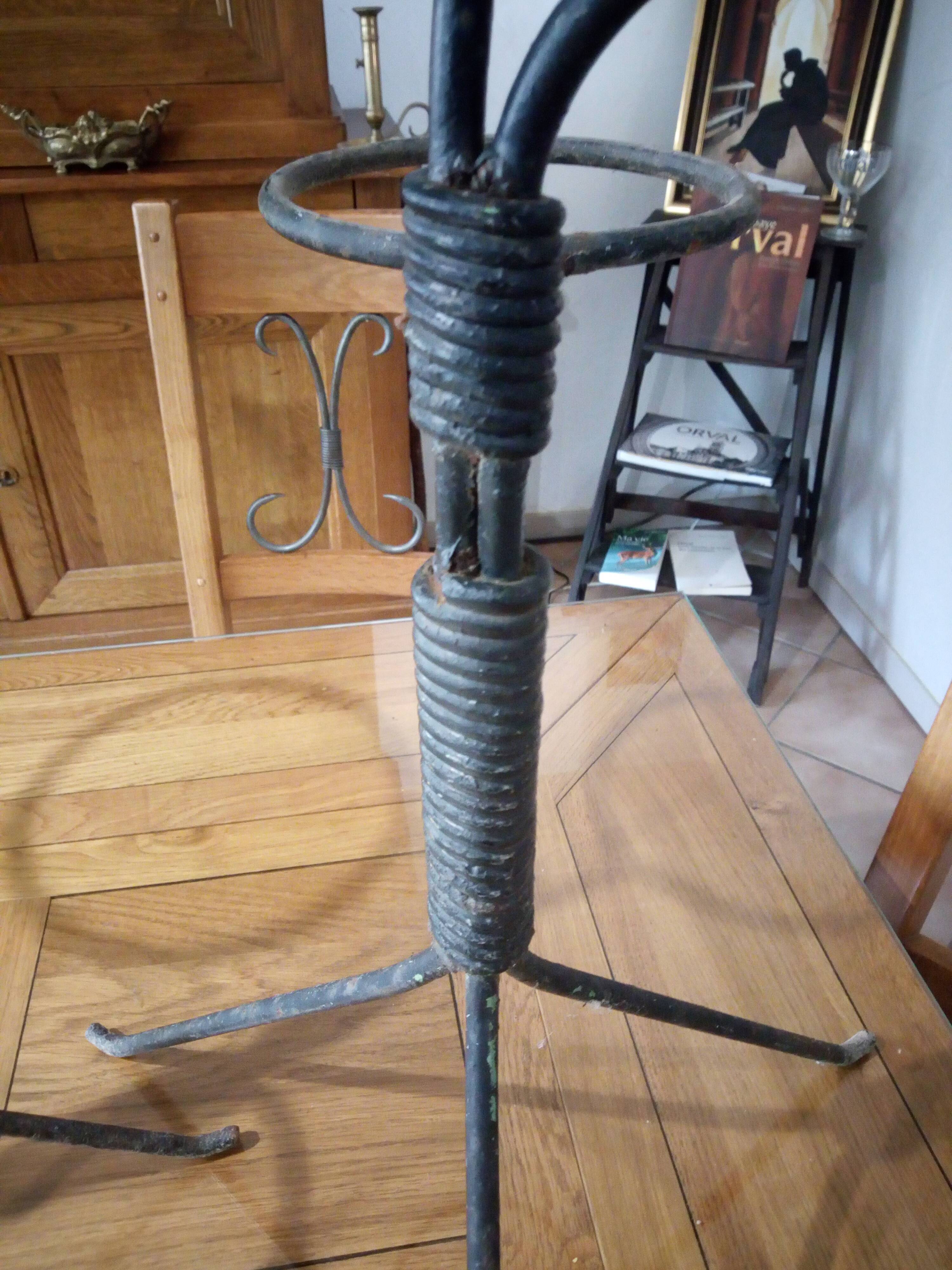 A pair of door plants