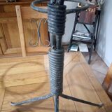 A pair of door plants