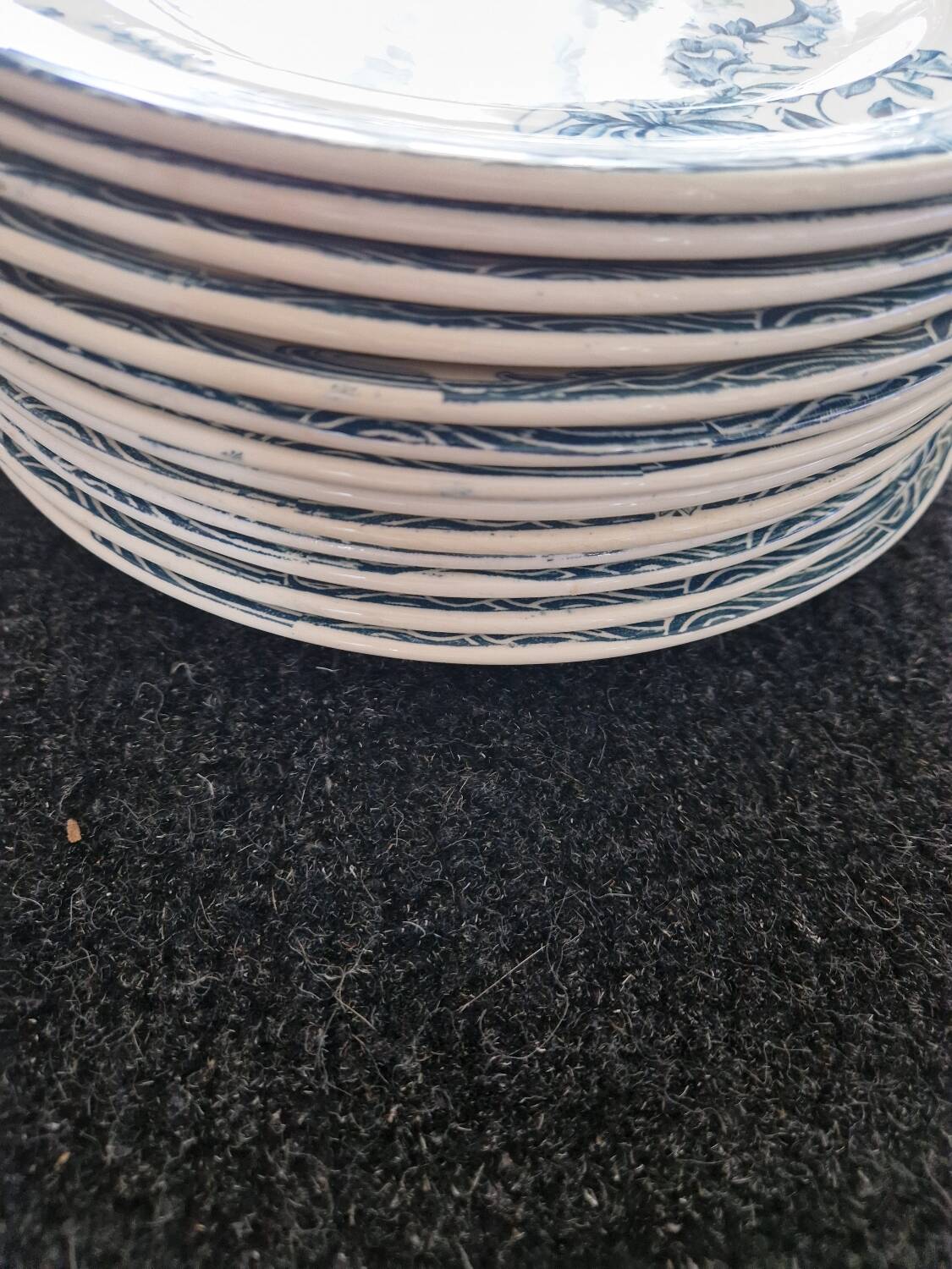 13 Longwy Azaleas dinner plates
