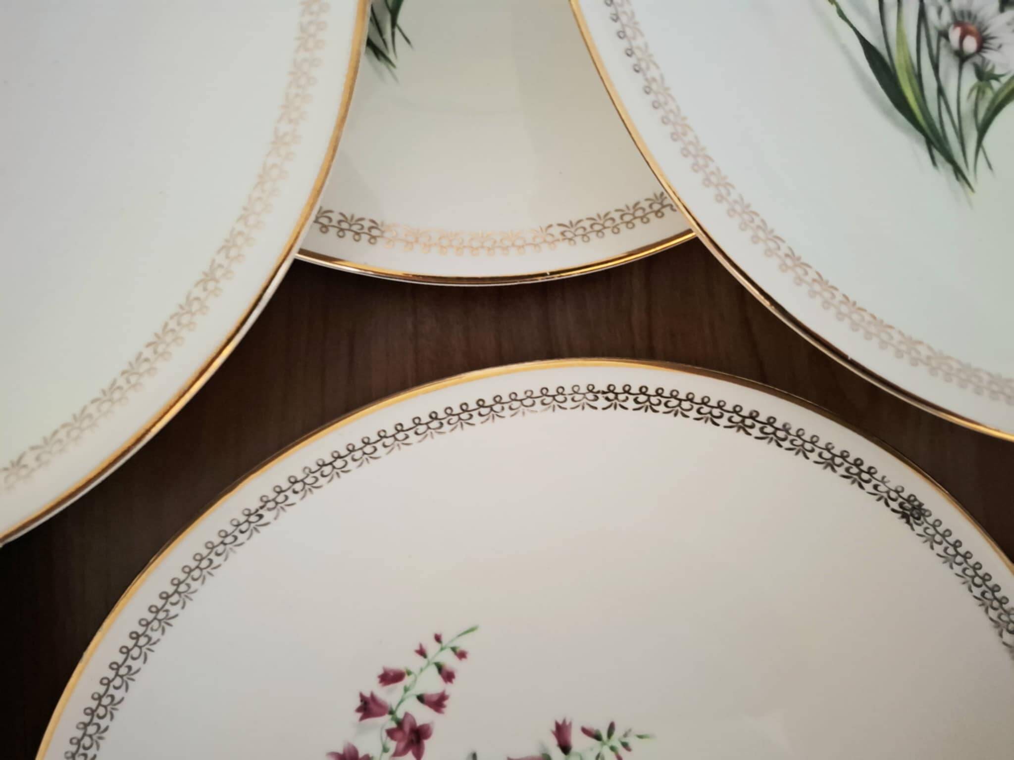 Vintage Floral Pattern Gien Earthenware Dinner Plates