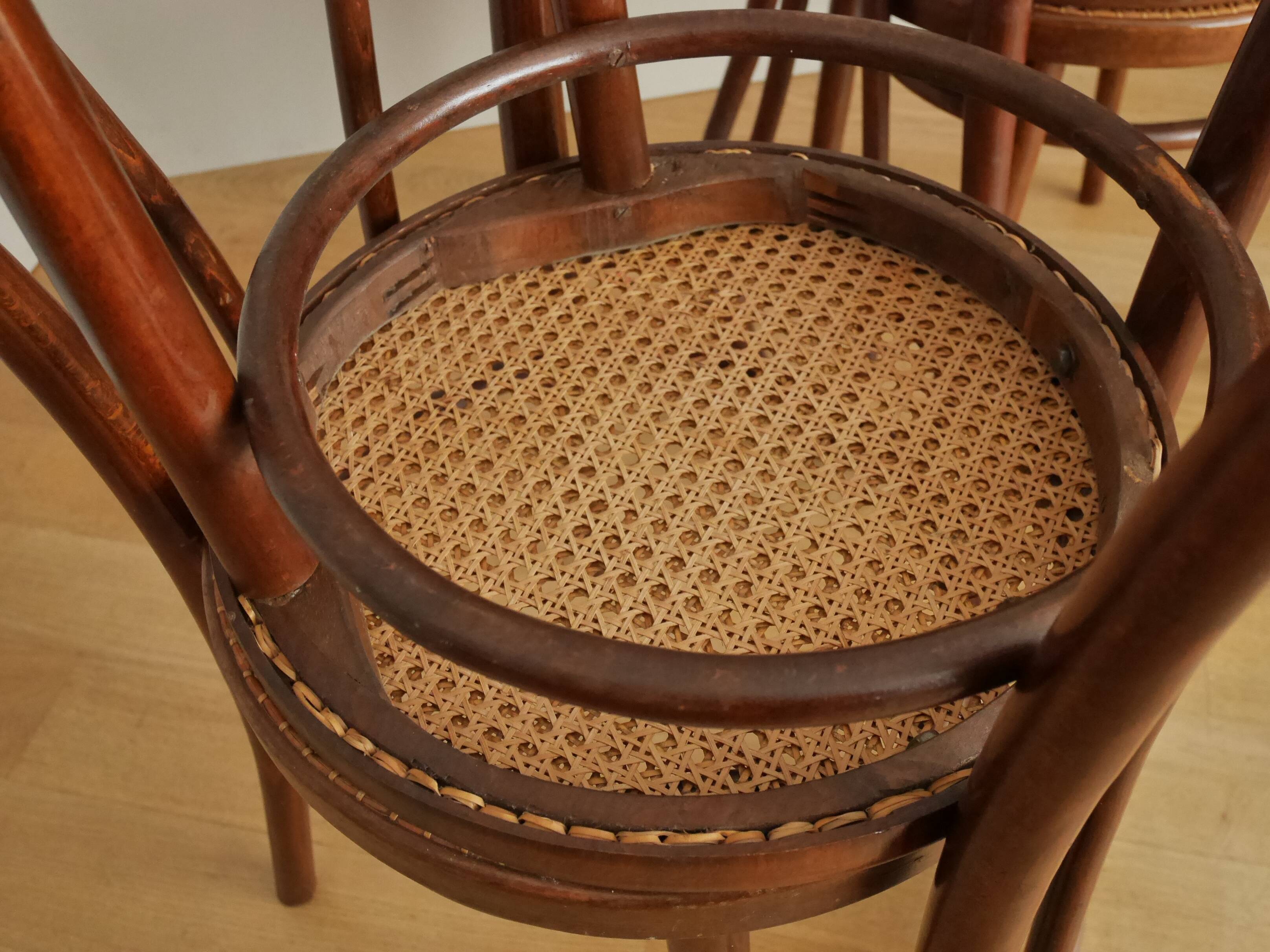 6 Thonet modele chairs