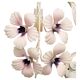 Hollywood Regency Cream White Metal Floral Leaf Wall Lamp