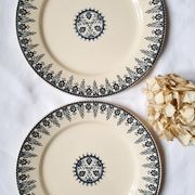 Antique dessert plates mismatched iron earth