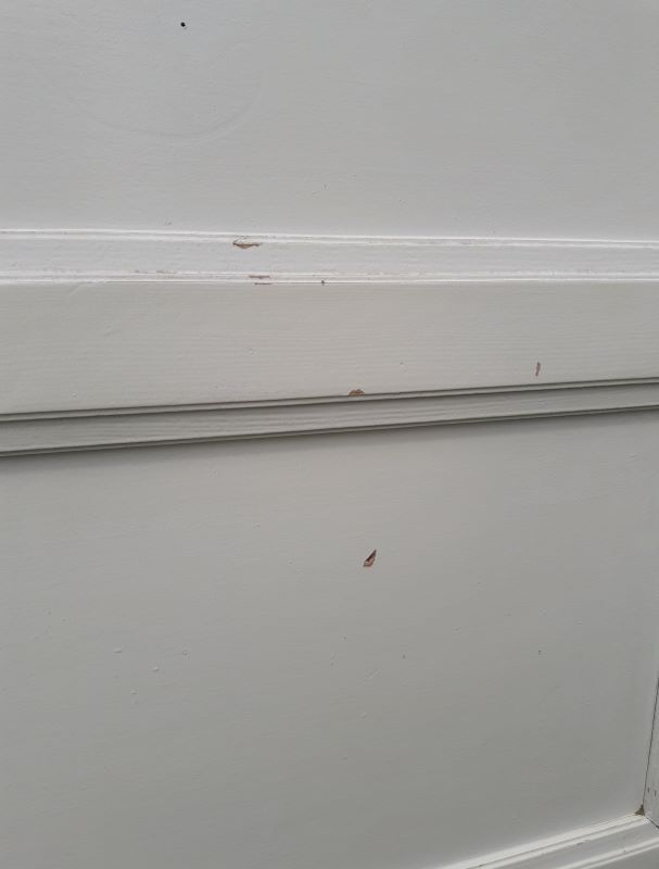 Porte vintage panneautée