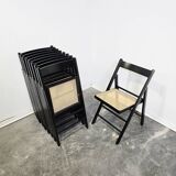 Folding Chair with Cane