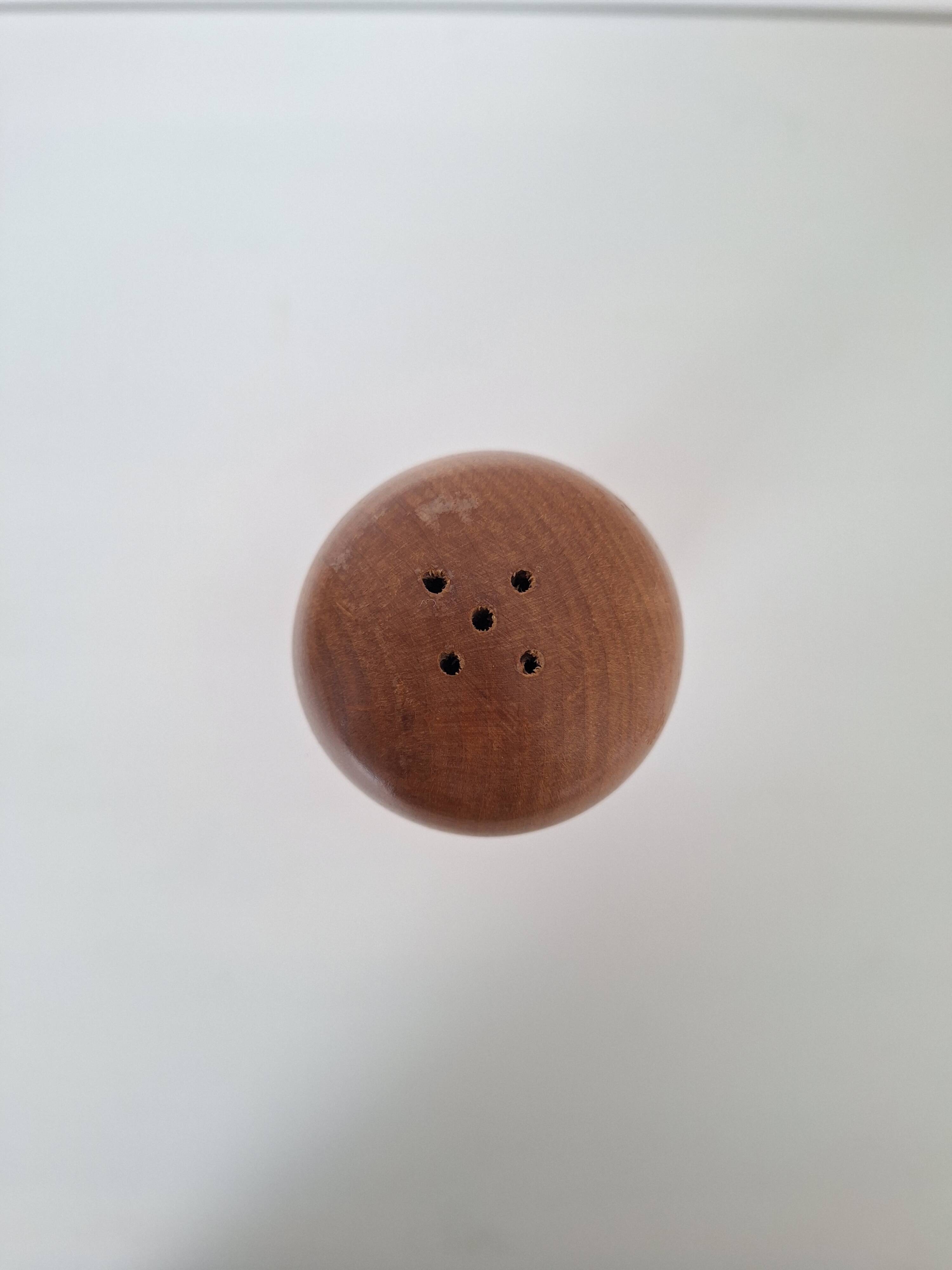 Wooden salt shaker