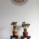 Vintage Rustic French Oak Stool in Pierre Chapo Style, Early 20th-C