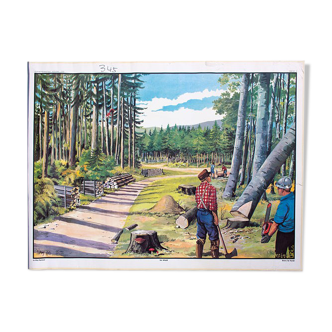 Dans le tableau de bois, éducatif, 1965