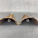 Antique Wood & Brass Wall Lights, France