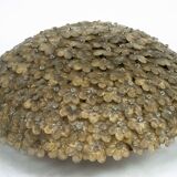 Seguso, XLarge Mid-century Gold Murano glass flowers ceiling lamp. Italy 19