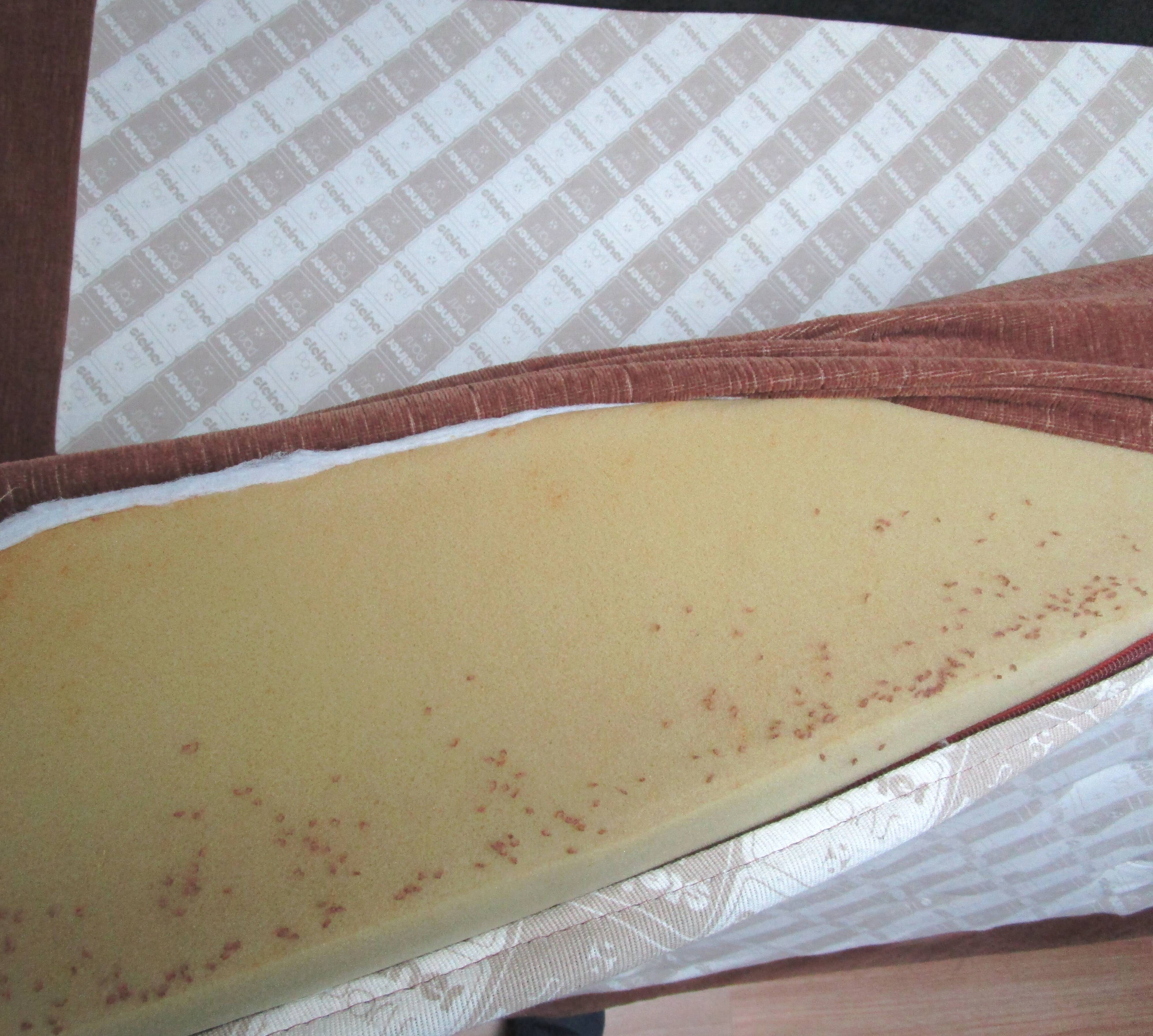 Steiner velvet chocolate sofa, 70s