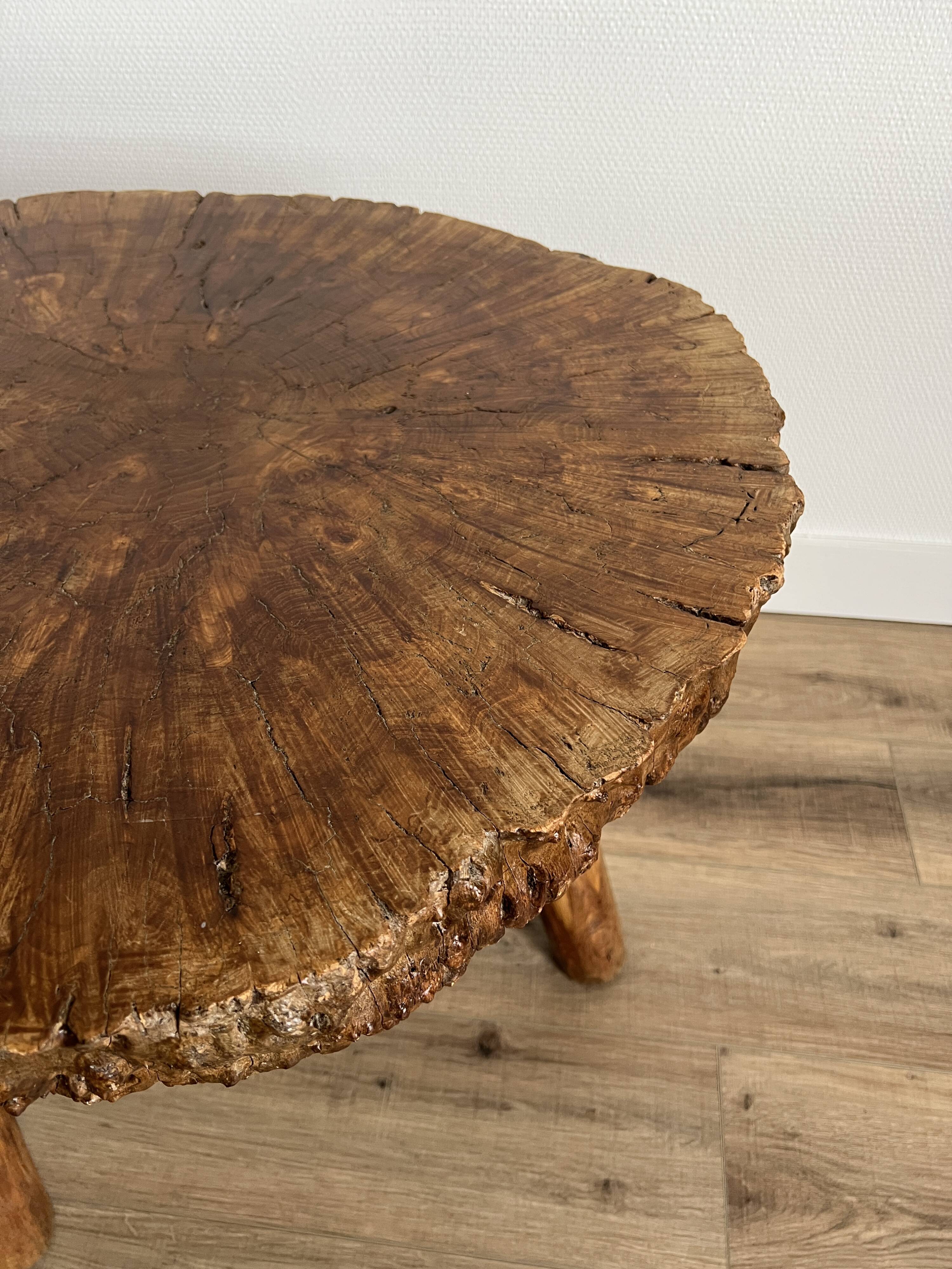 Brutalist tripod coffee table in elm burl, 1950.