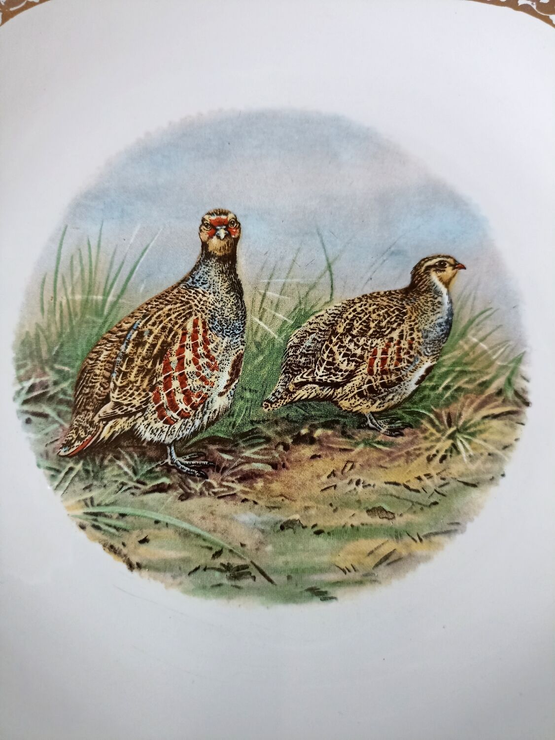 Longchamp game plates