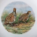 Assiettes gibier Longchamp