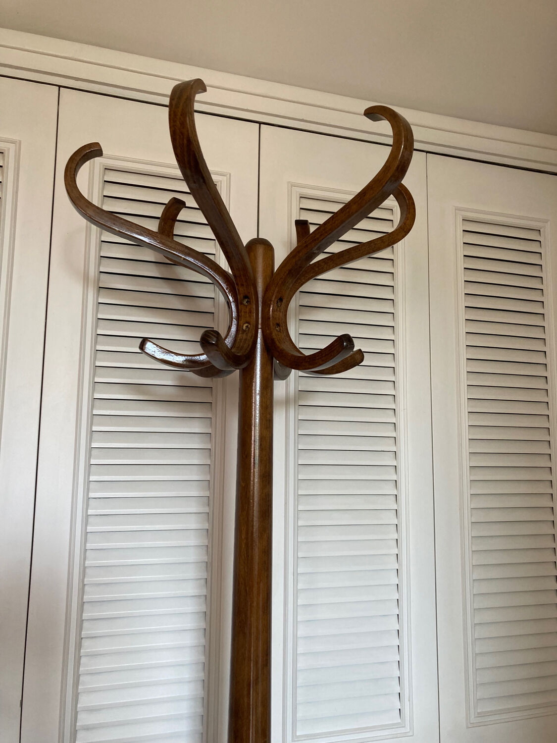 Baumann parrot coat rack
