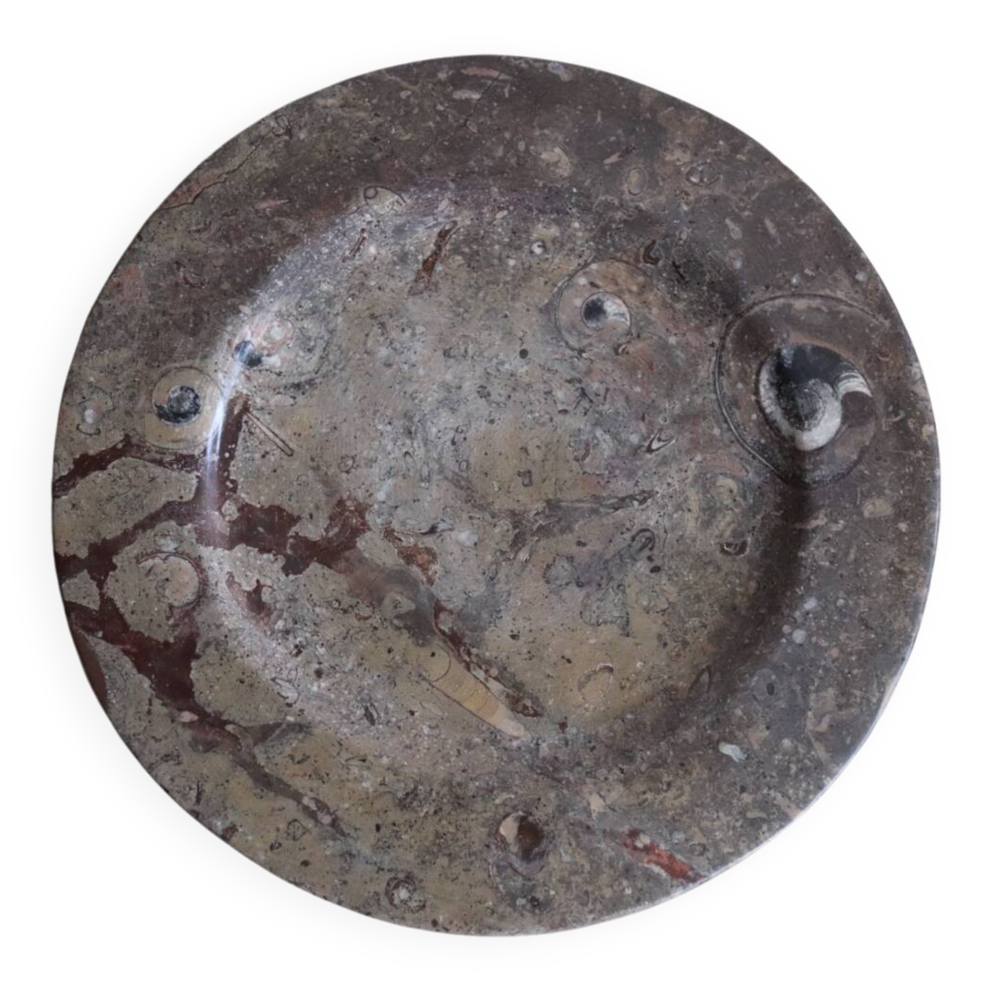 Vintage round fossil stone plate