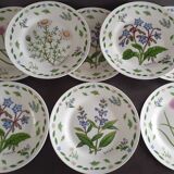 8 assiettes dessert fleurs