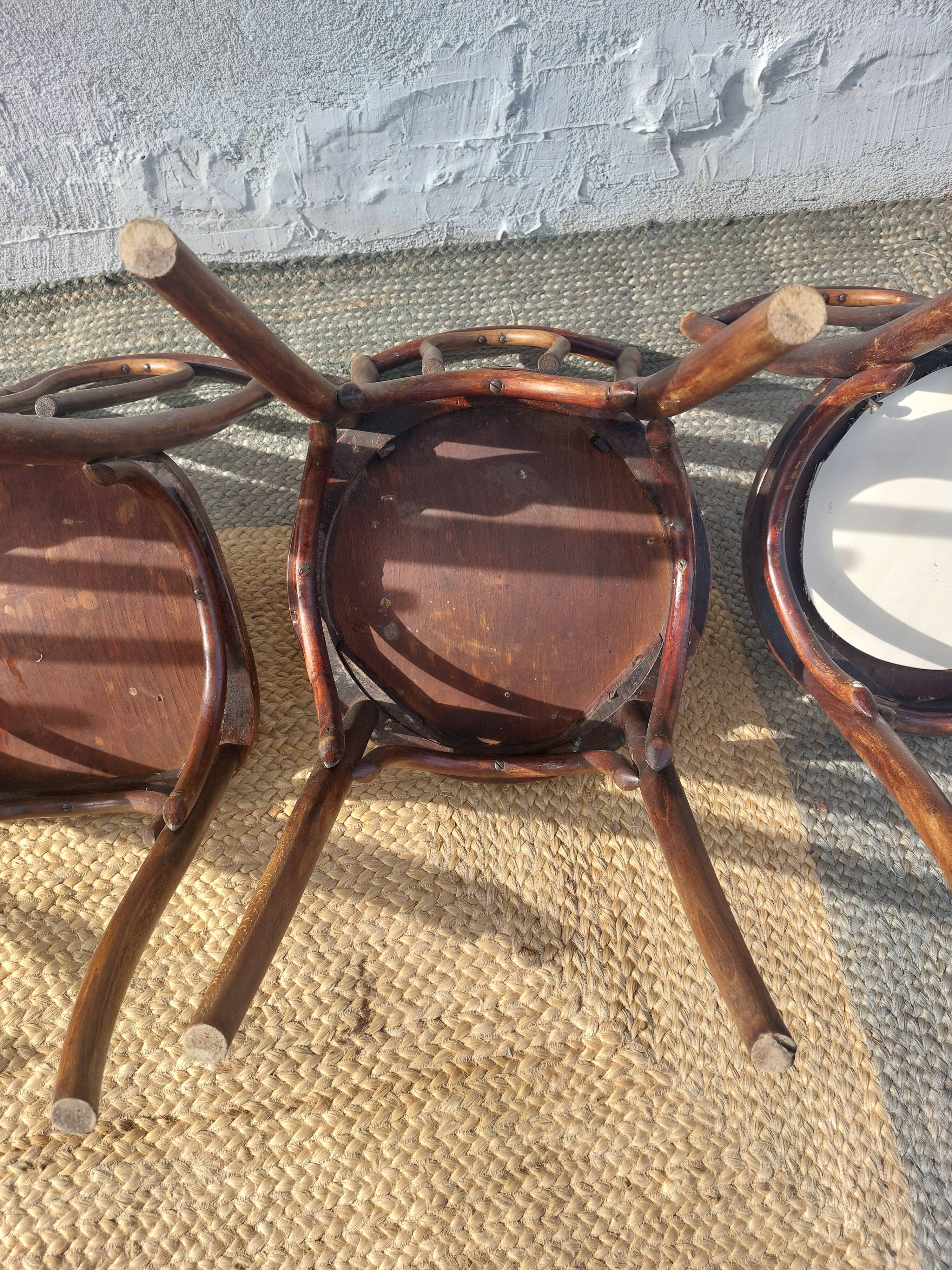 Set of 5 Buchon bistro chairs in curved wood