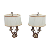 Pair of hot water bottle lamps