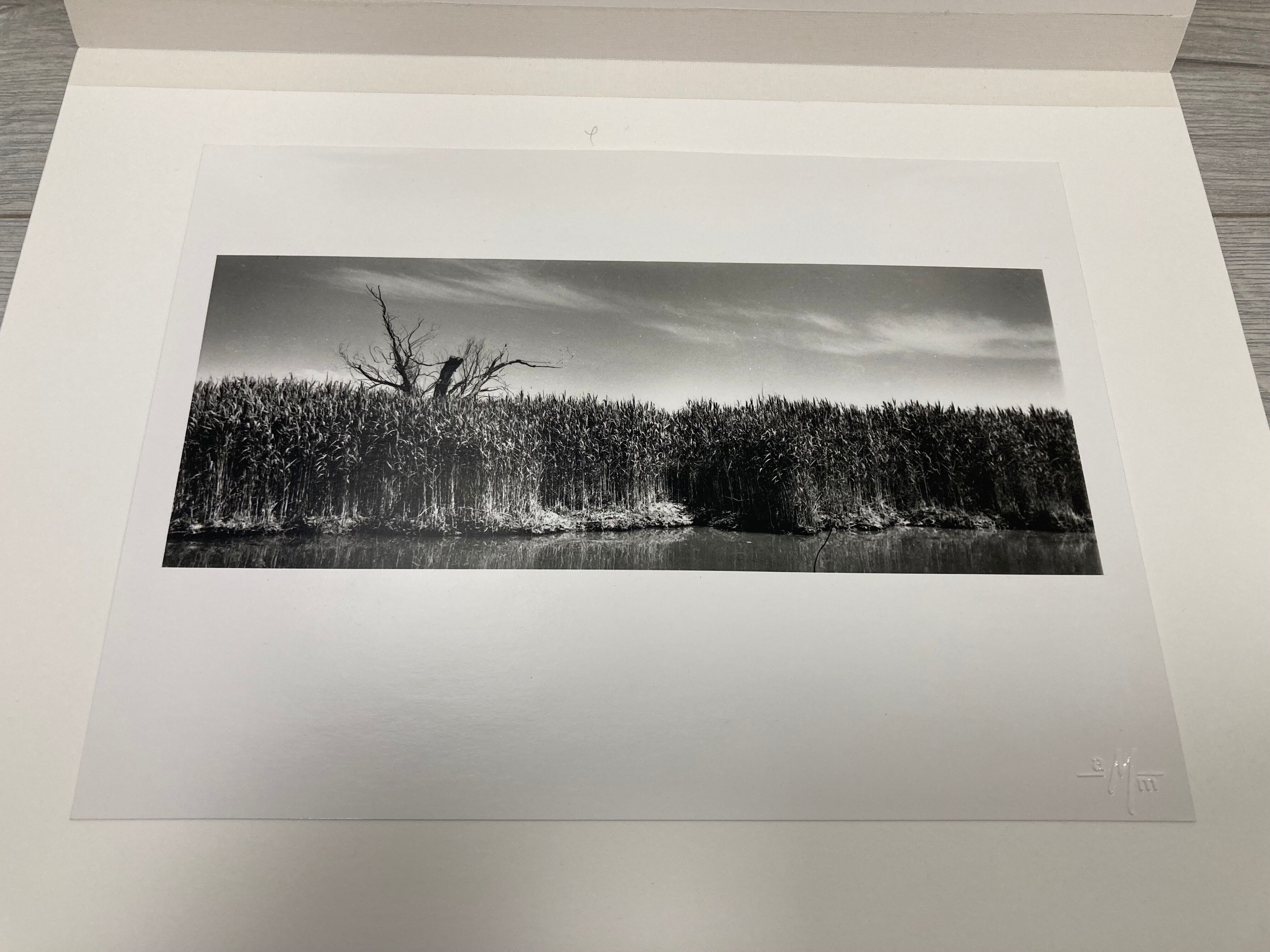 Film landscape photography