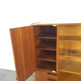 Design Mezulanik showcase with shelves