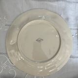 Set of 8 asparagus majolica plates