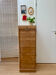 Curtain filing cabinet
