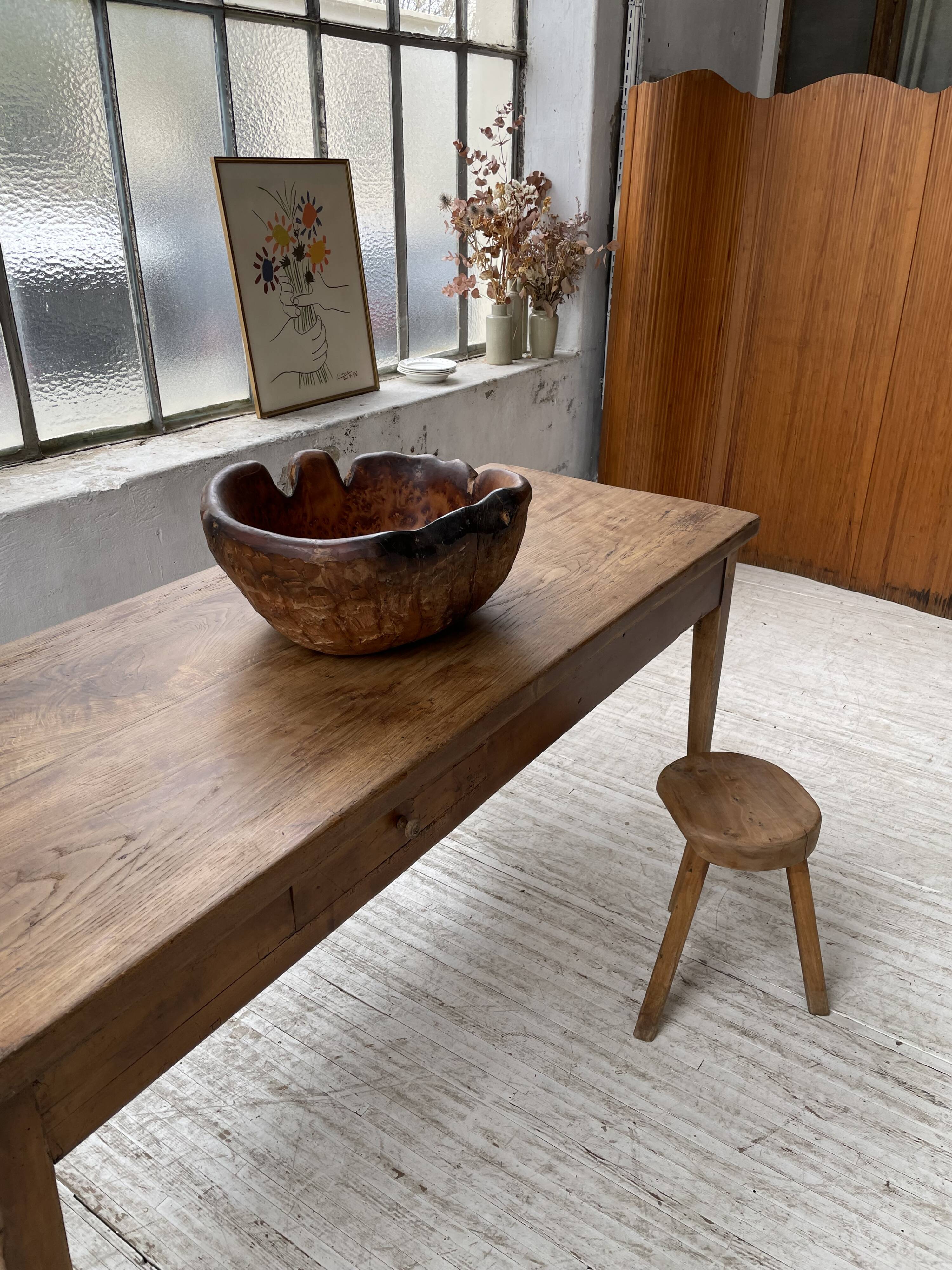 XL thuja root wooden dish