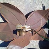 flower wall light