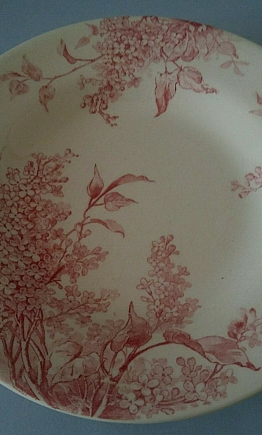 Old hollow plate Gien model Lilas model late 19th century Lilas