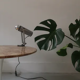 brushed metal spot clamp lamp 1970