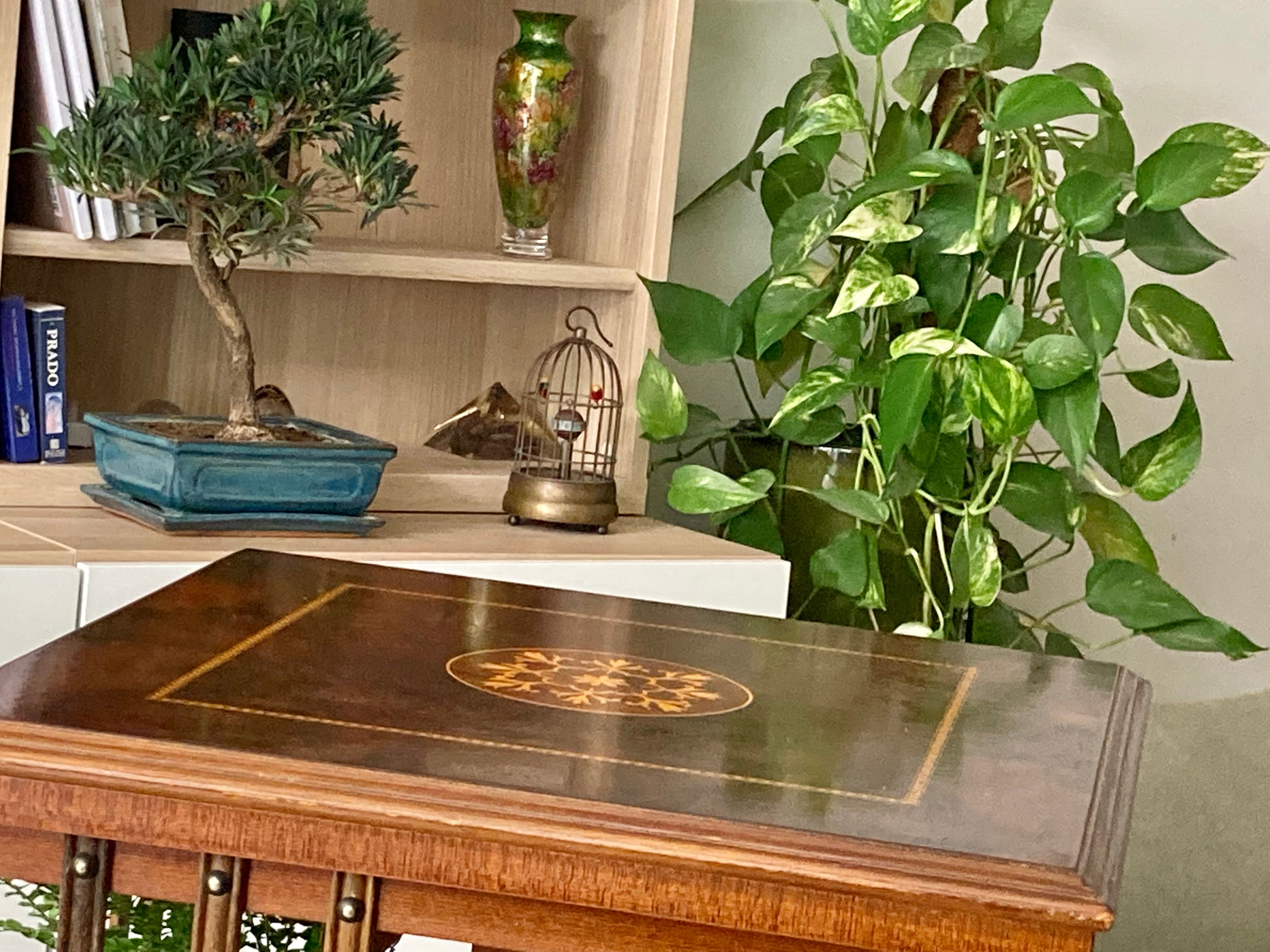 Swivel bookcase - English - 19th century style