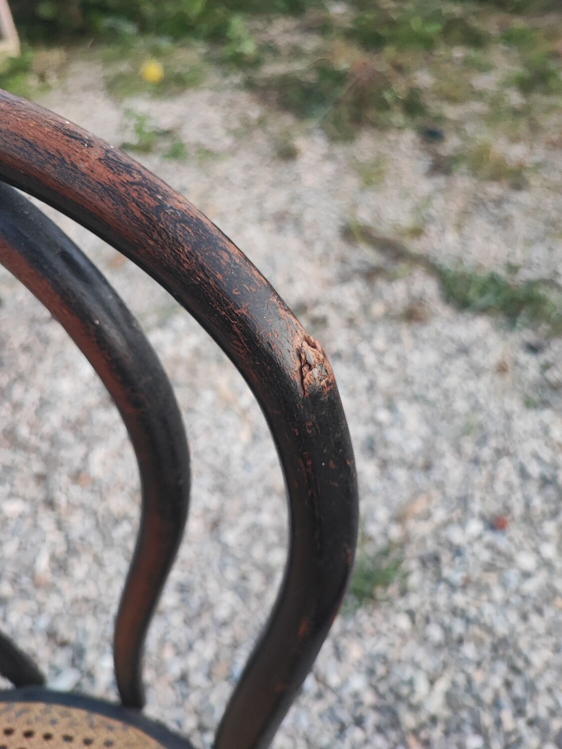 Duo de chaises cannées, Thonet Austria