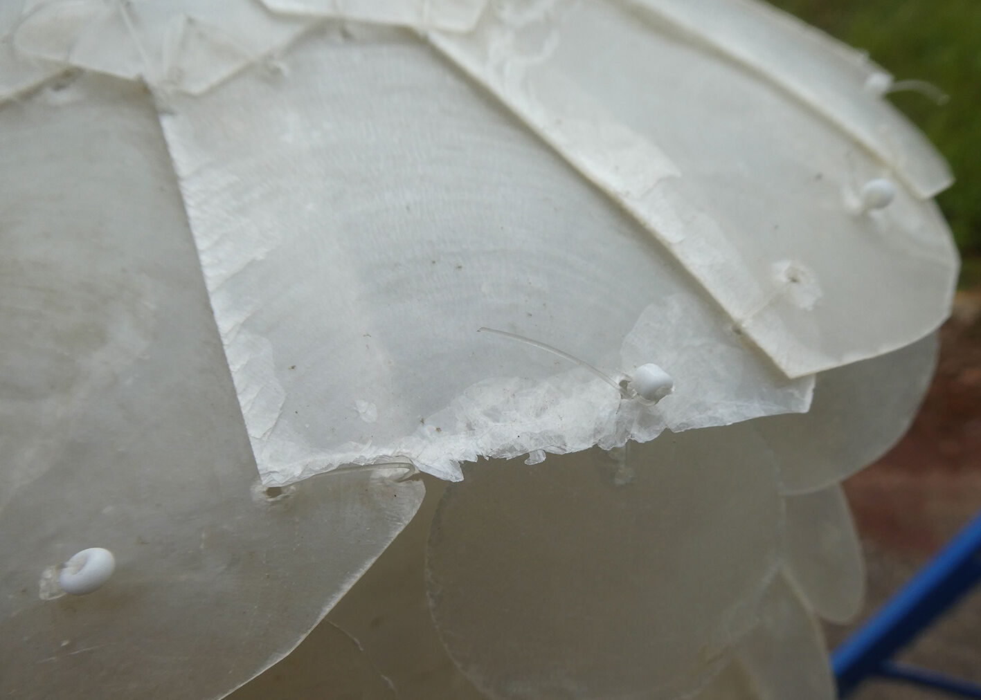 Duo of hanging lamps in mother-of-pearl tassels